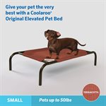 Original Elevated Pet Bed - Small - Terracotta