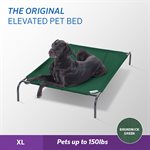 Original Elevated Pet Bed - X-Large - Brunswick Green